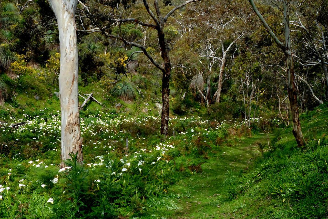 Bed & Breakfast Lure Normanville